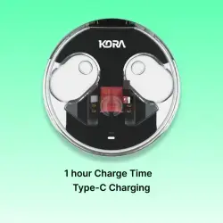 Kora Zenpods Pro Wireless Earbuds , ANC, Type C