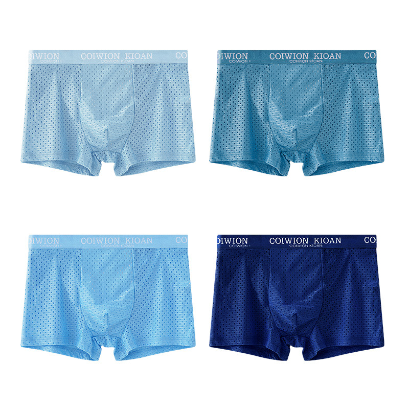 Mens Ice Silk Mesh Briefs