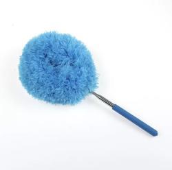 Feather Duster